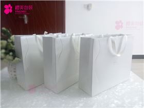 奢侈品服装手提袋加工2.jpg