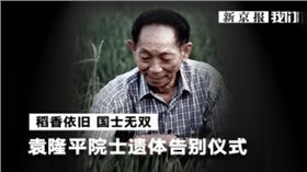 樱美包装
