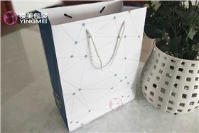 简约型纸袋定制