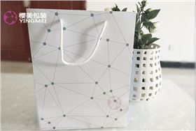 简约型纸袋定制