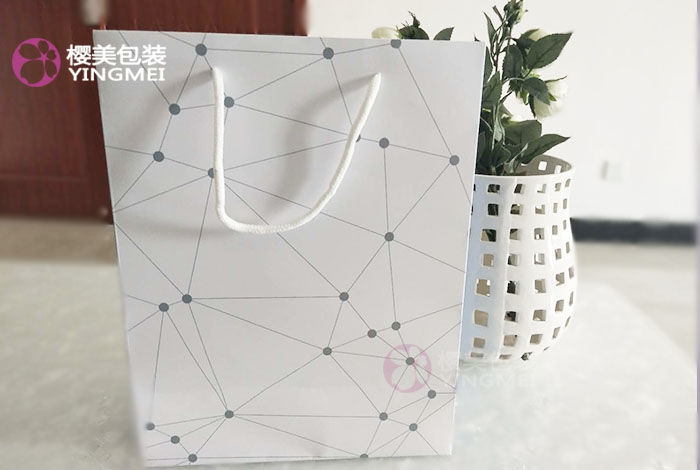 简约型纸袋定制