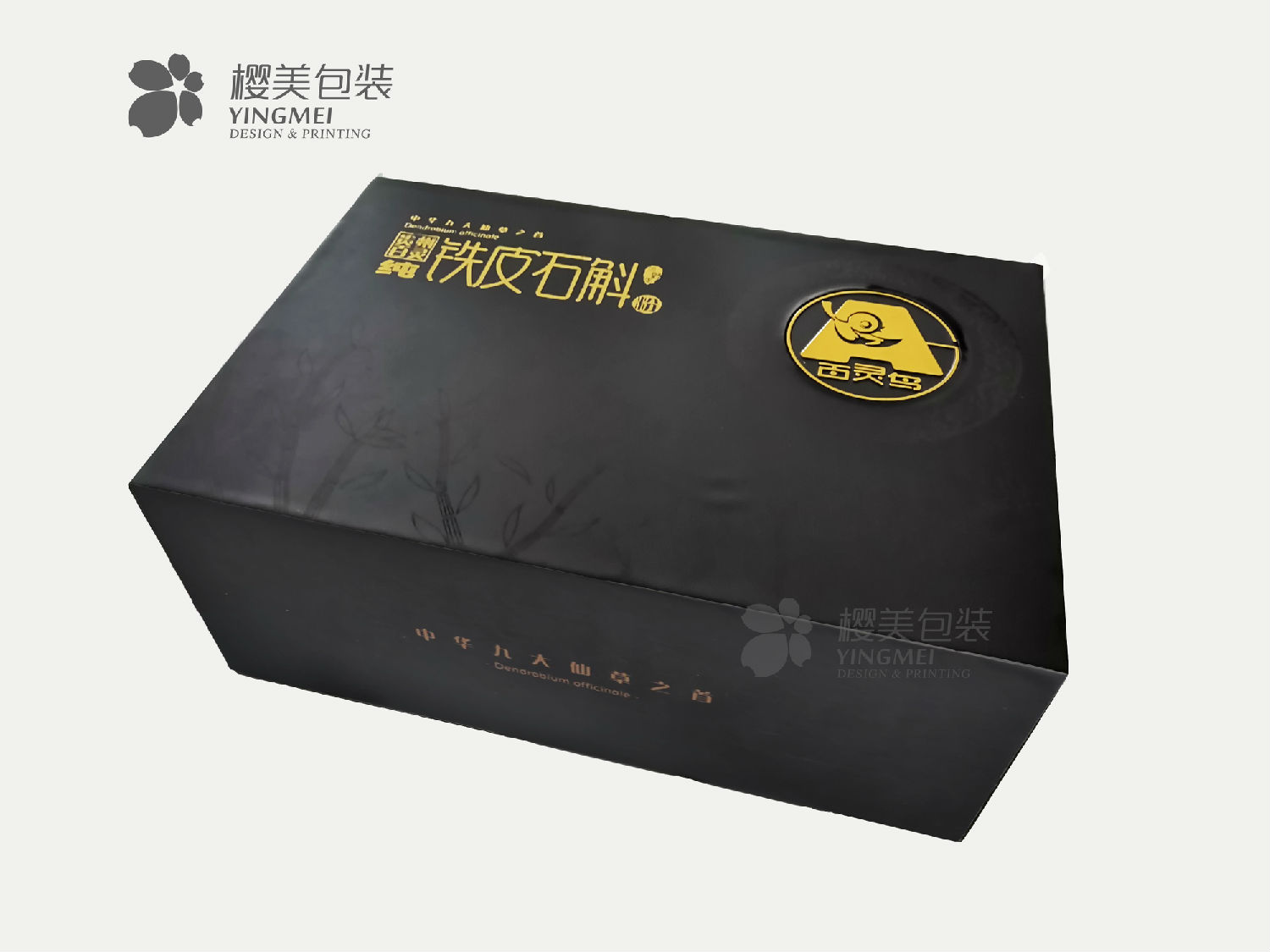 铁皮石斛1.jpg