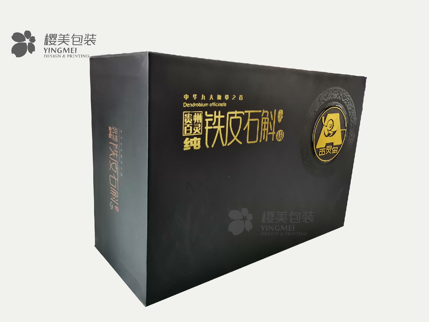铁皮石斛4.jpg