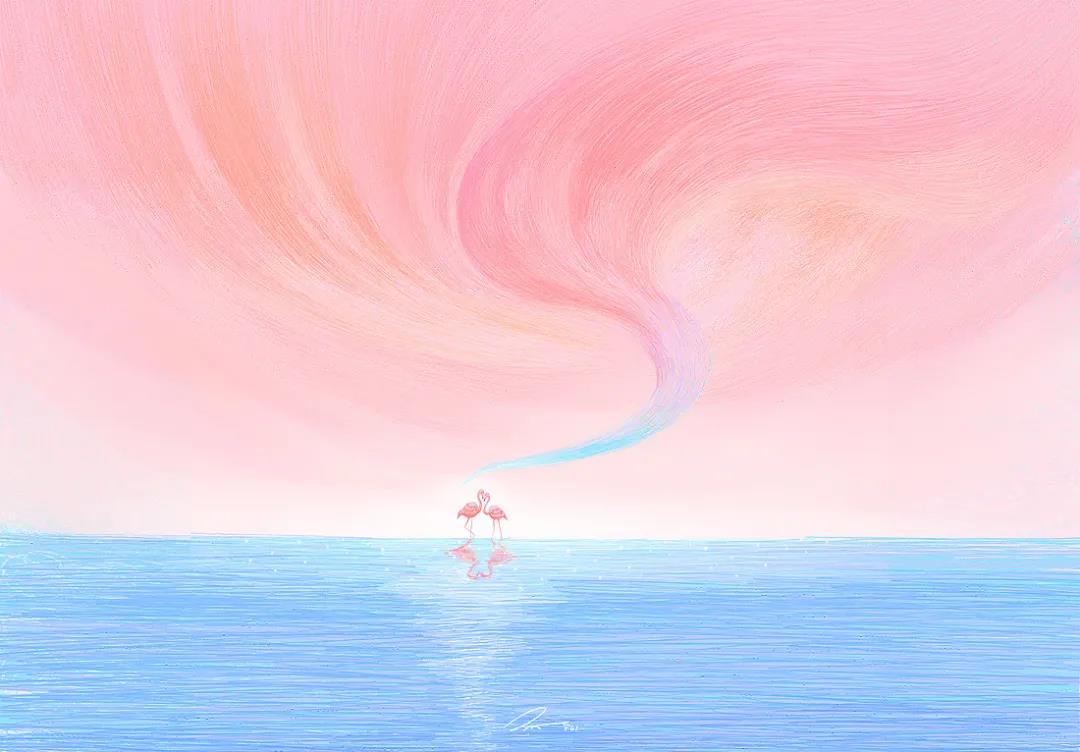 插画包装