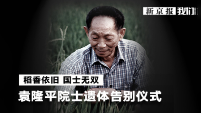 樱美包装
