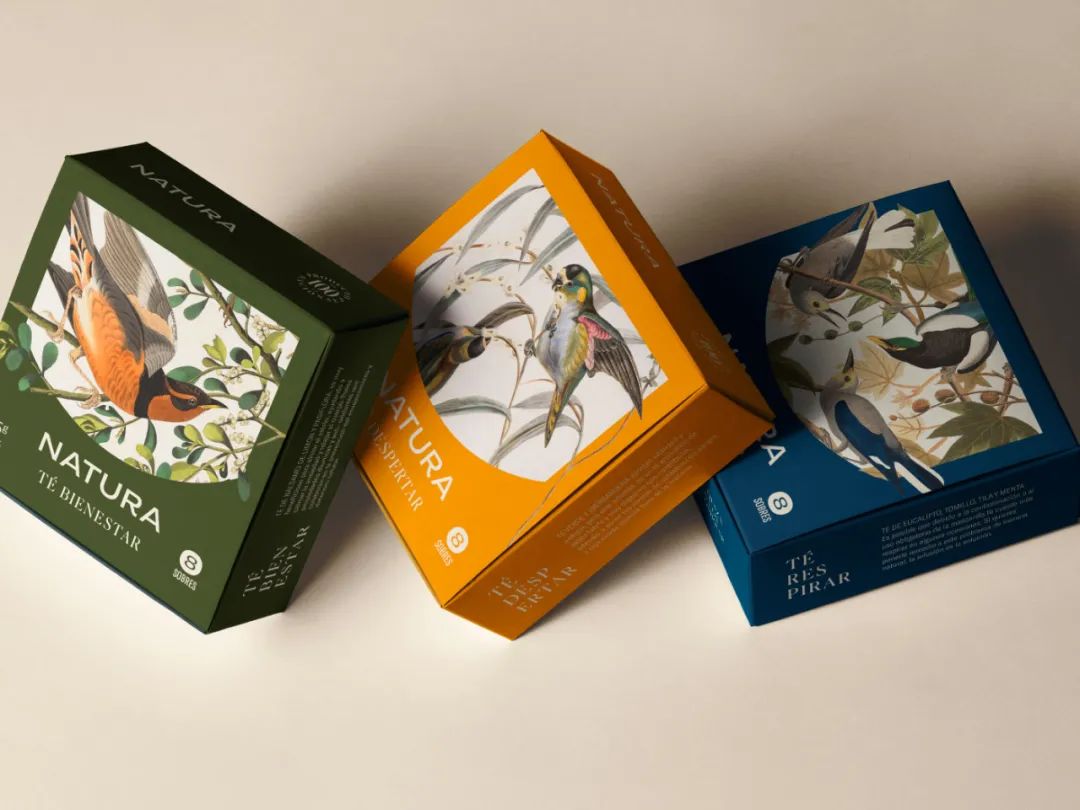 茶叶包装设计